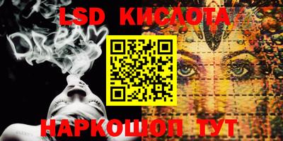 шишки Новодвинск