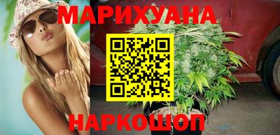 гидра Новозыбков