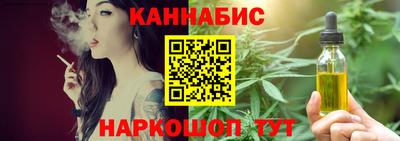 шишки Новодвинск