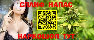 гидра Новозыбков