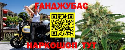 шишки Новодвинск