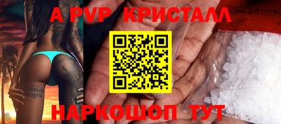 шишки Новодвинск