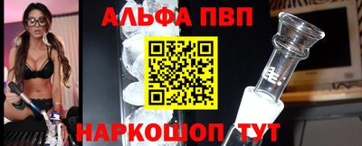 шишки Новодвинск