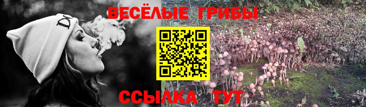 Галлюциногенные грибы мухоморы Тавда